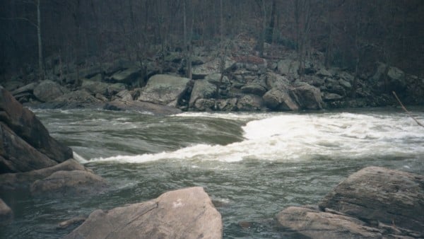 Greyhound Bus Stopper