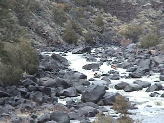 Little Arsenic Rapid