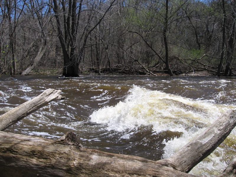 Lime Kiln Park Ledge/Wave (LKPWave)