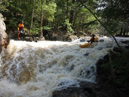 Eyeball (Eye of the Dog)