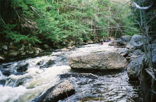 Pinball (Upper Half)