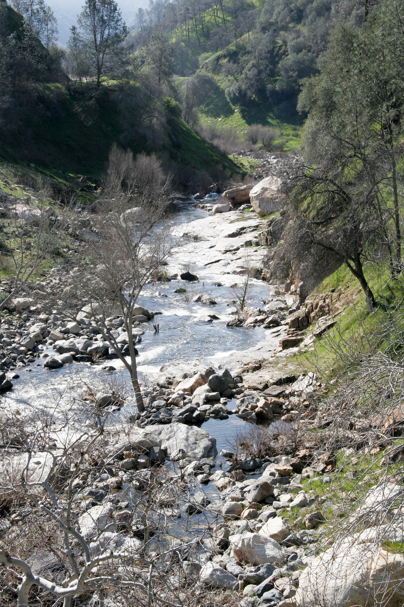 Take out: below Bridge