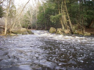 Diamond-D Ranch Rapids