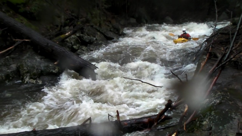First Sip of Hemlock