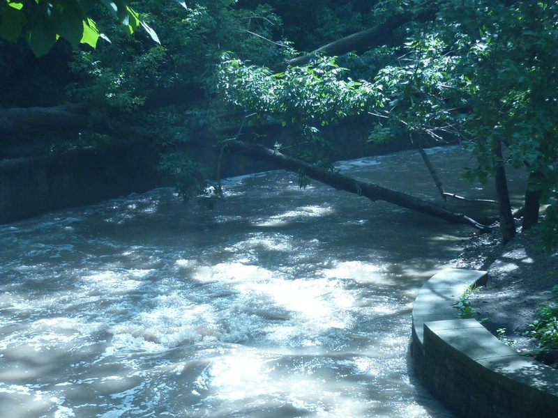 Downstream of 1st Bridge