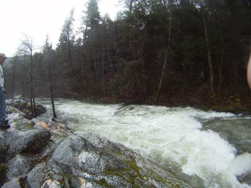 Topless Weather Girl