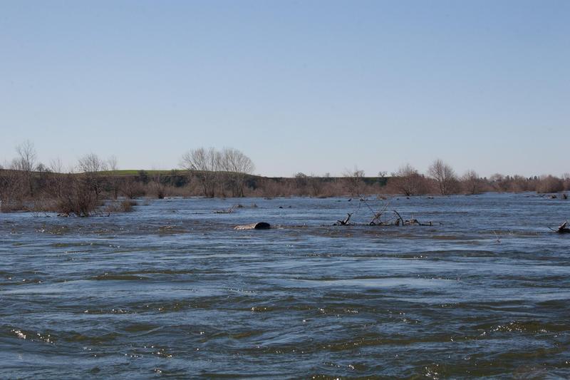 Start of Restoration Area