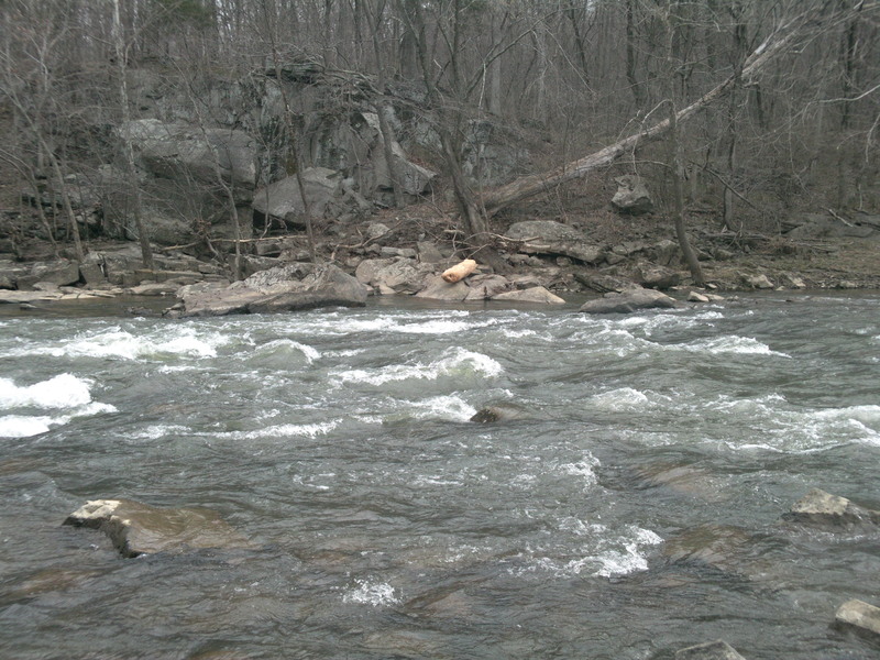 Golf Course Rapids (Cooke's Mill)