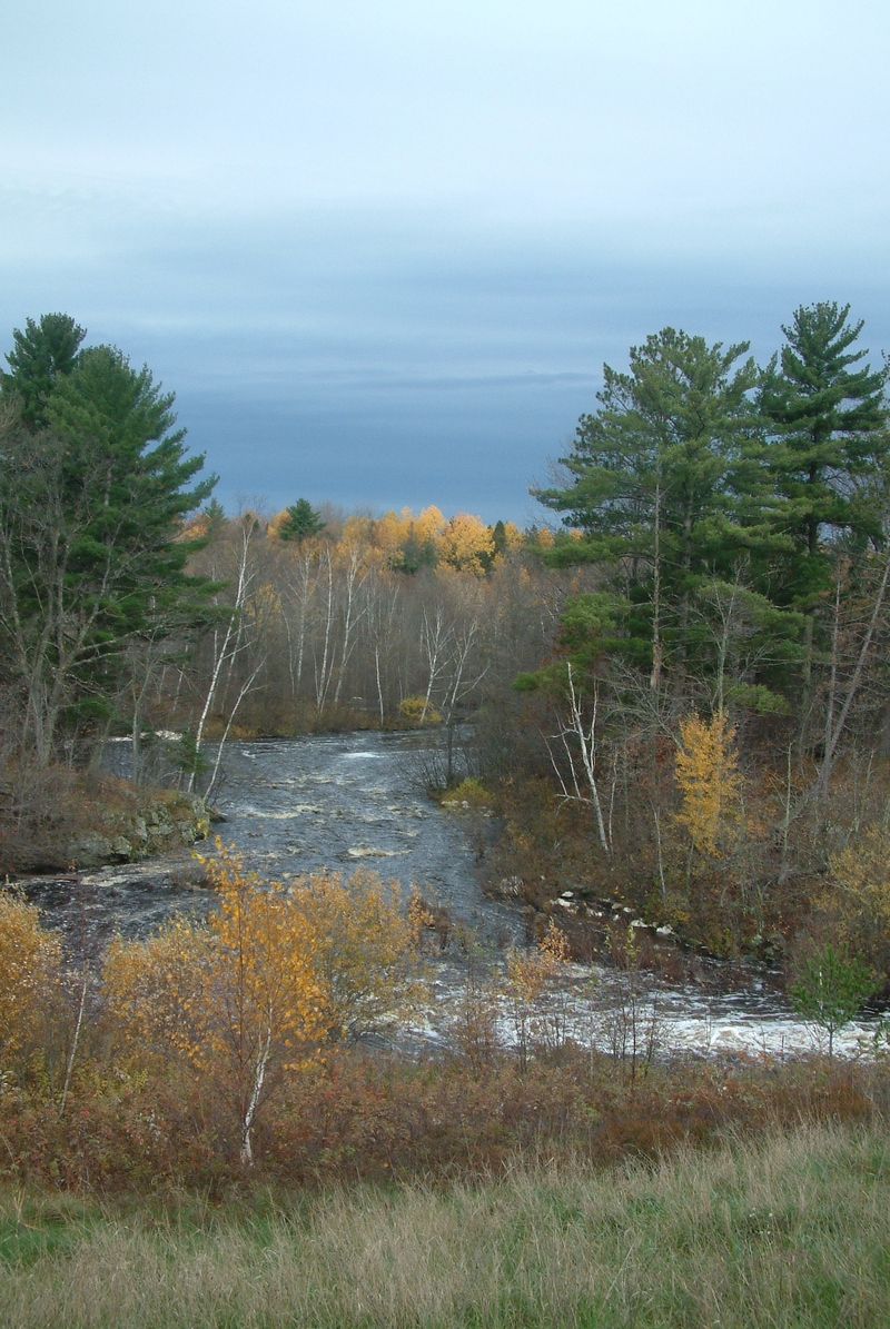 The View Downstream of Take-out