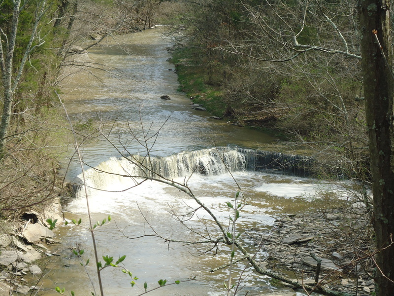 Horseshoe Falls
