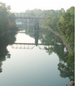 College St Bridge Putin