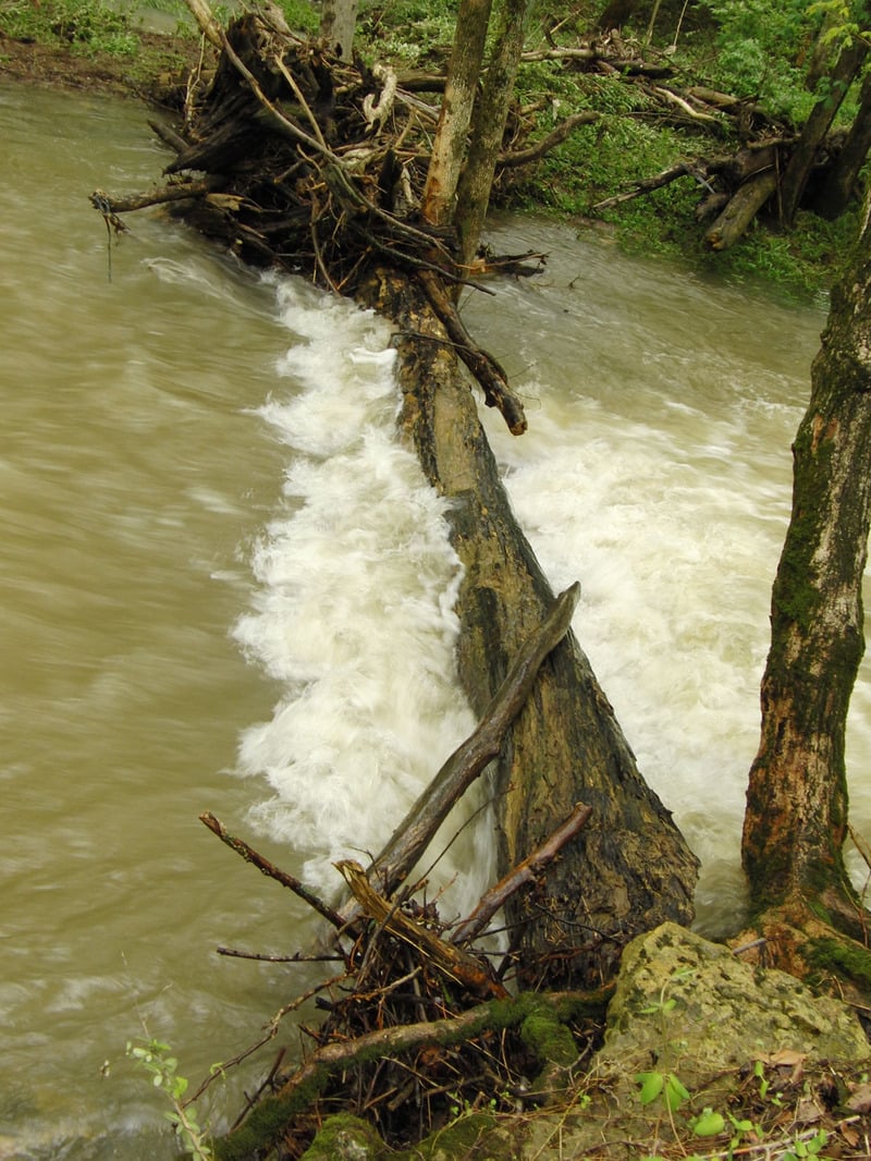 Creekwide Log Strainer