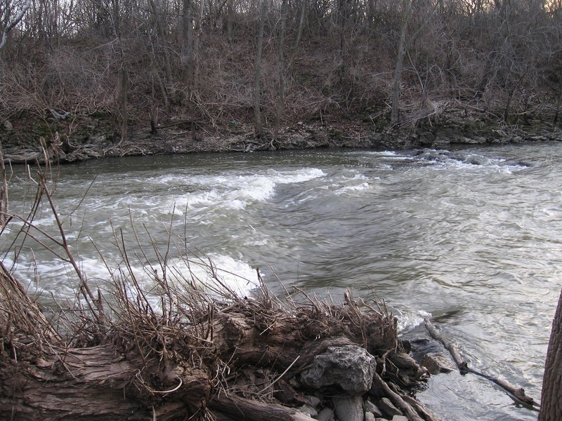 Hanging Willows (HW)