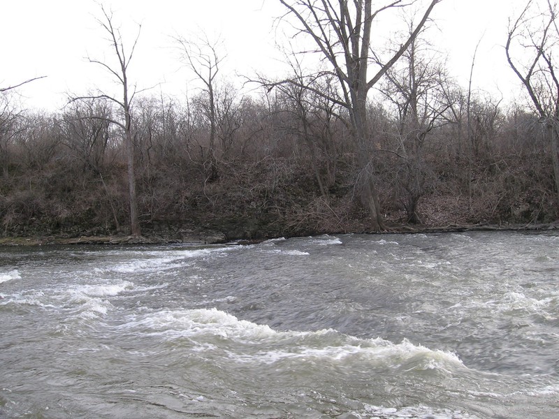 Lower Pipeline (LP) & Tundra