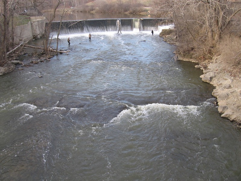 Malted Milk (MM) / Horlicks Extra Lite (HEL)