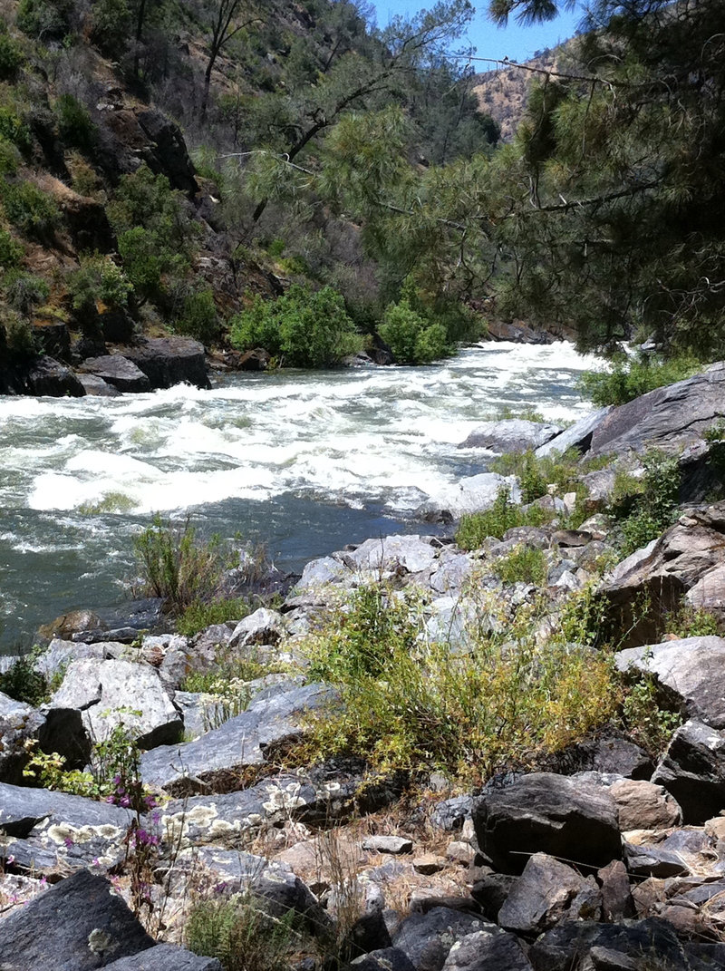 Quarter Mile Rapid