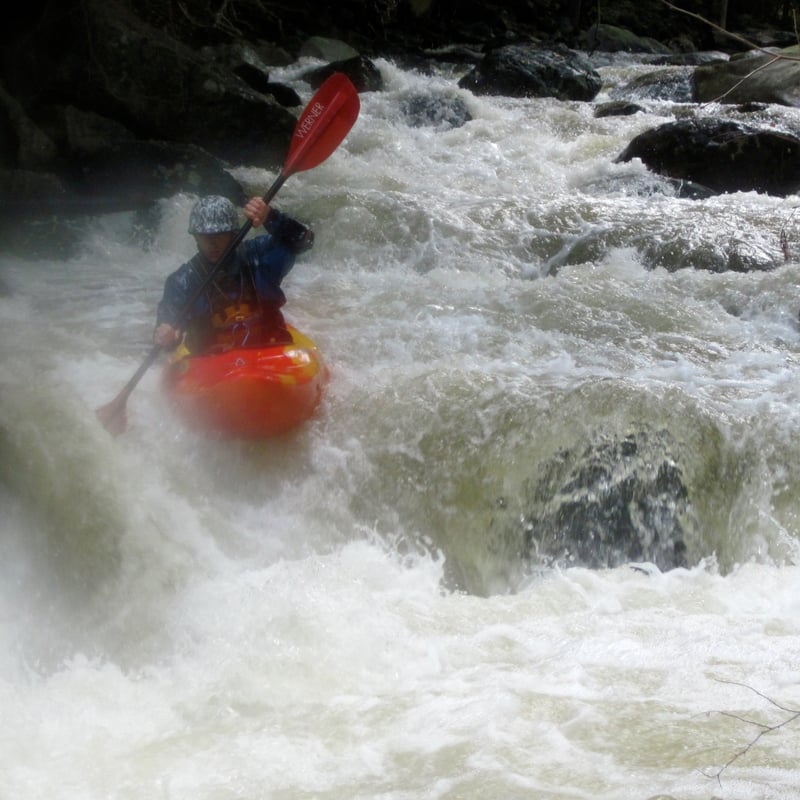 Lots of Boogie Water