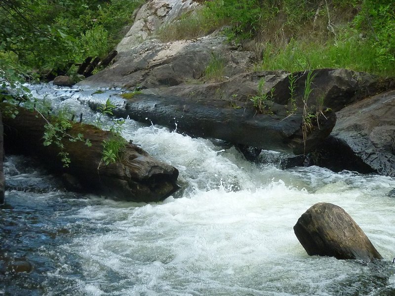 Carney Rapids (Drainage ~71Sq.Mi.)