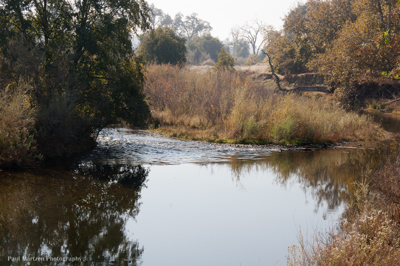 Upper Owl Hollow Riffle