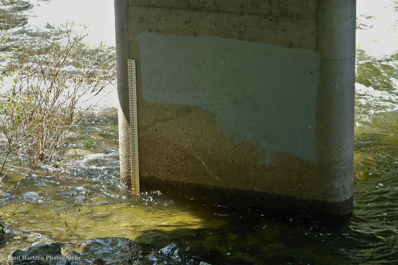 Redbud, Foresta Rd Bridge 