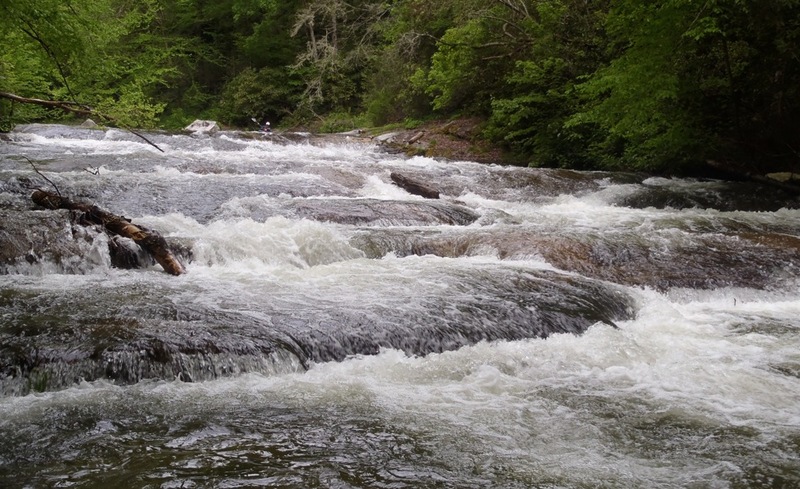 Cullowhee Forest Bridge