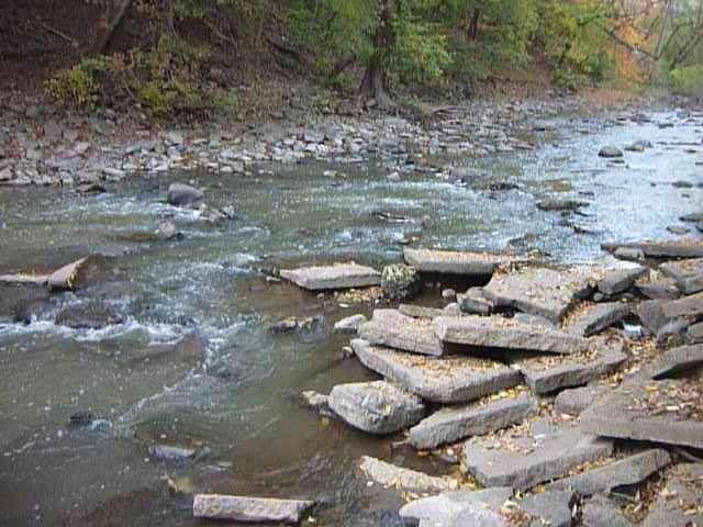 Hart Park Rips (HPR)