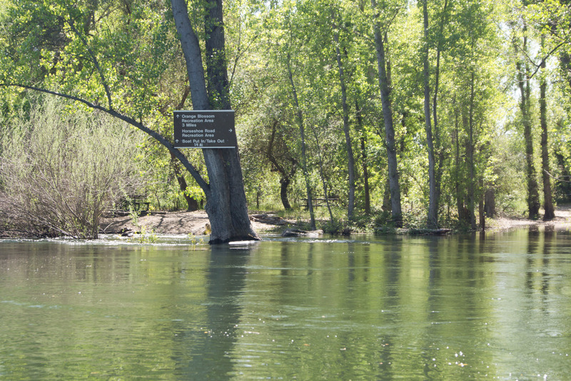 Horseshoe Camping area