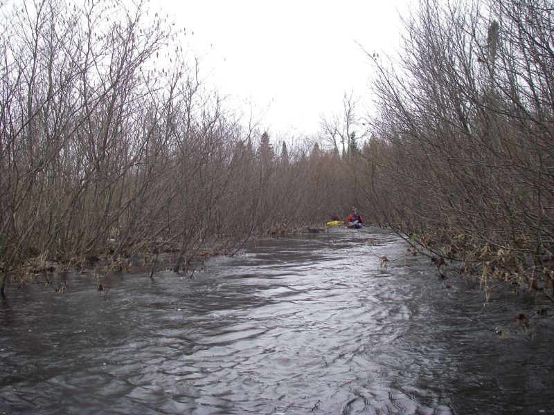 Confluence Alder Creek