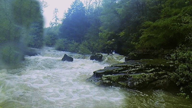 Danger Will Robinson