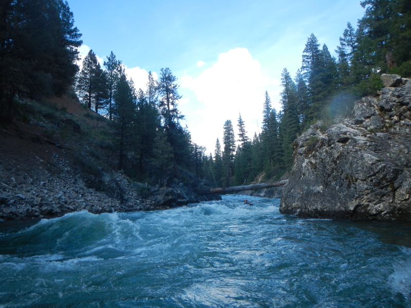 Chapman Creek Rapid