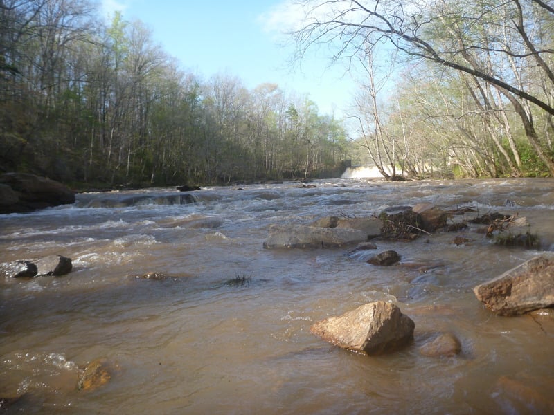 Put-in / Paddle Snatcher