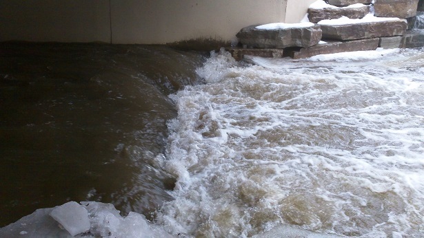 Rochester Road Rapid