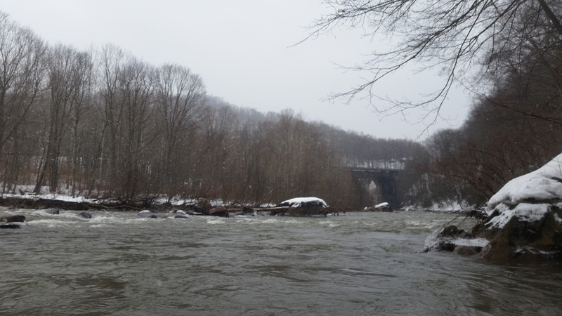Conemaugh Viaduct Rapids (Loop Takeout)