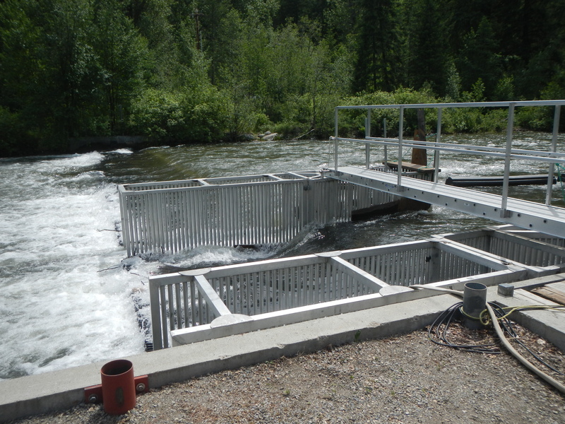 Fish Collection Dam