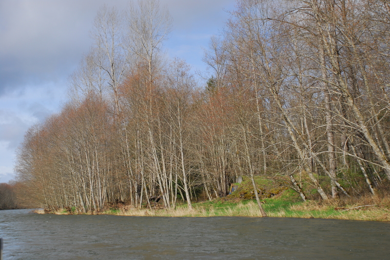 Peissner Road Access