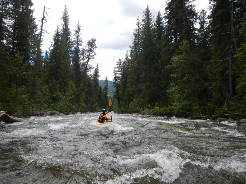 Twenty Mile Creek Rapid