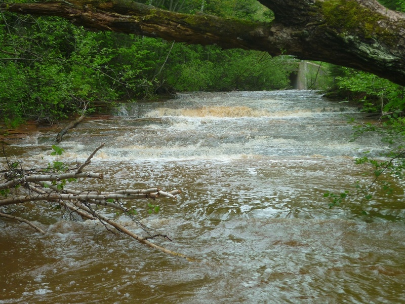 Little-Steps (Second Slide)