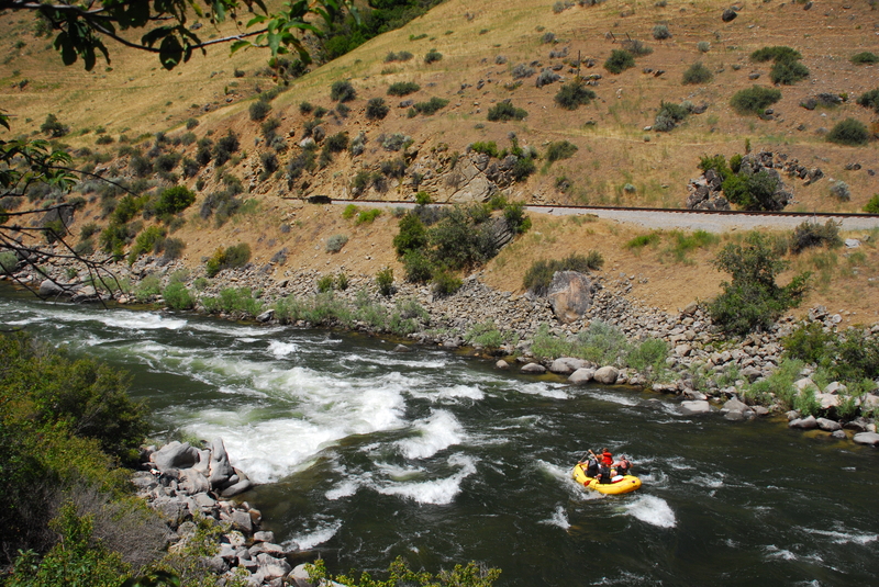 Adios My Friend (AMF)