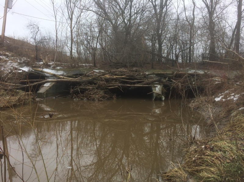 Quad-culvert -- ~1/8th Mile!
