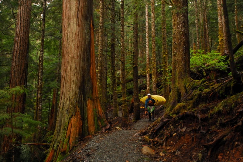 Put In, Sultan River Canyon Trail (#1246) Trailhead