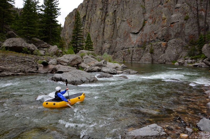 Janice Dearborn's Revenge
