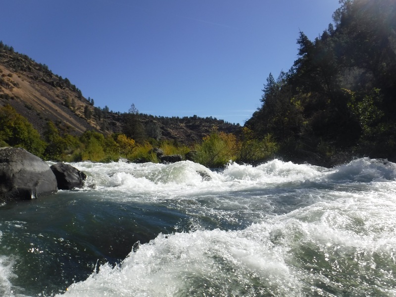 Quarter Mile Rapid- Egg Beater