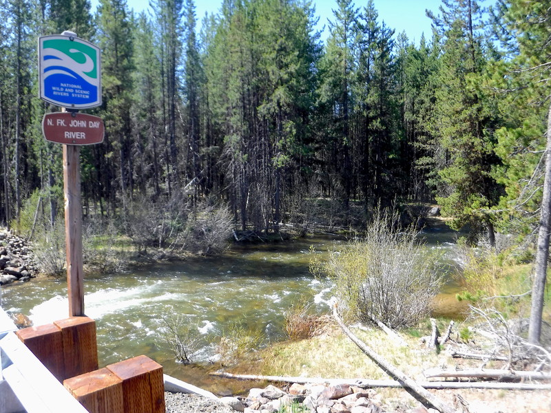 Put In, Route 52 Bridge, North Fork John Day Campground
