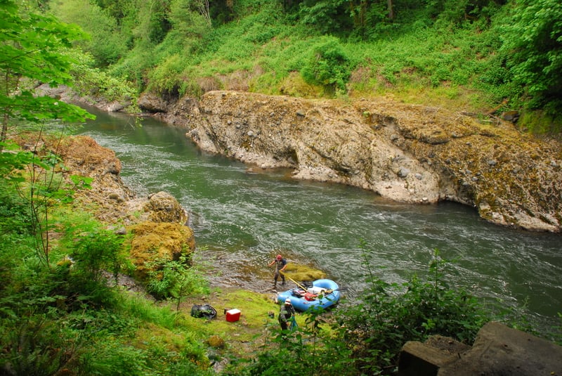 Revenue Bridge Take Out