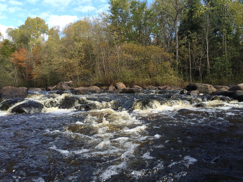 Camp 1 Rapids