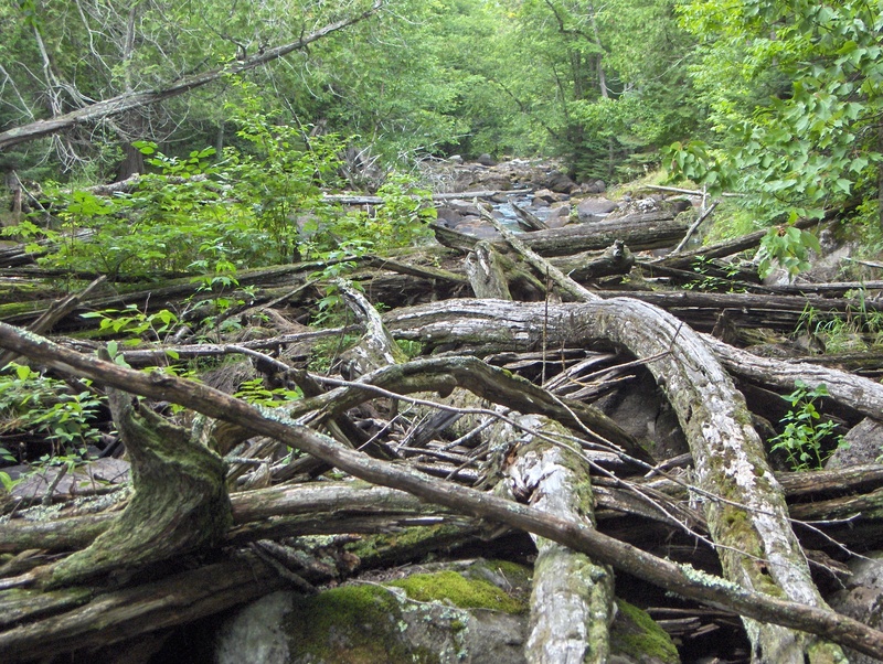 Permanent Log Pile in McDougal Rapids