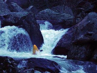 2nd Rapid - Double Drop.