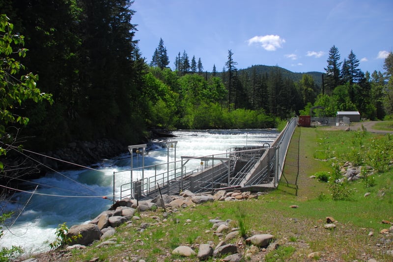 Fish Ladder