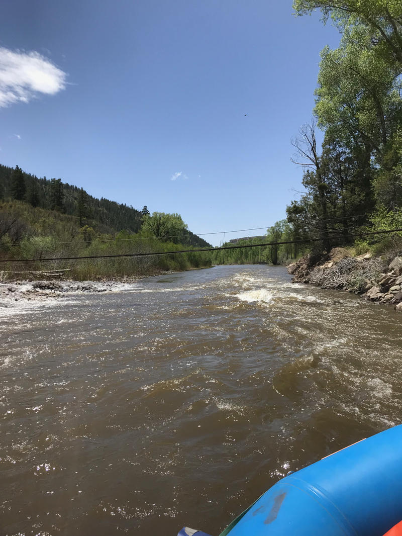 Cable foot bridge: low-clearance bridge
