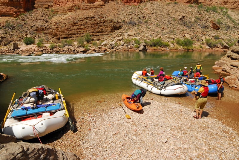 Matkatamiba Rapid (1)